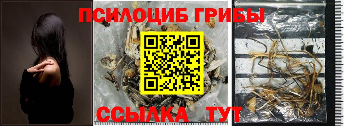 Галлюциногенные грибы ЛСД Еманжелинск